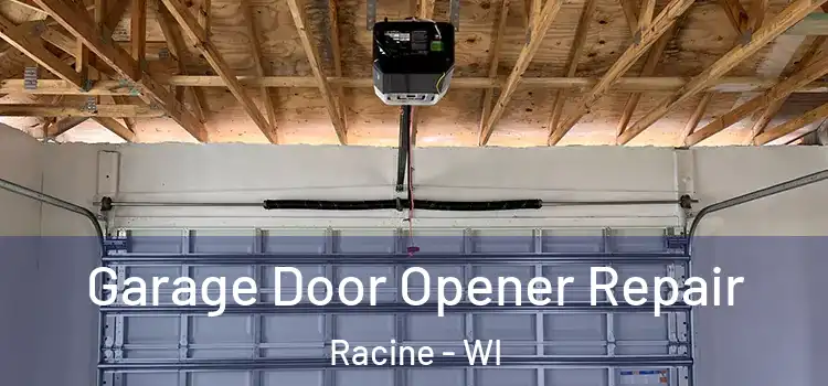  Garage Door Opener Repair Racine - WI