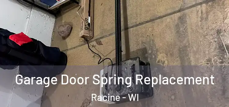  Garage Door Spring Replacement Racine - WI