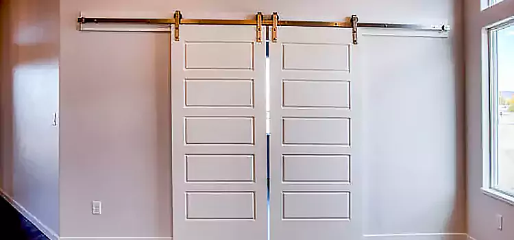 Glass Barn Door with Installation Hardware Kit Racine