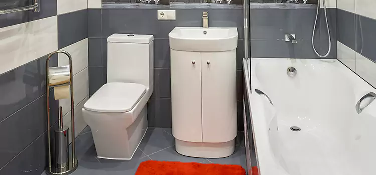 Hansgrohe Shaving Mirror Racine