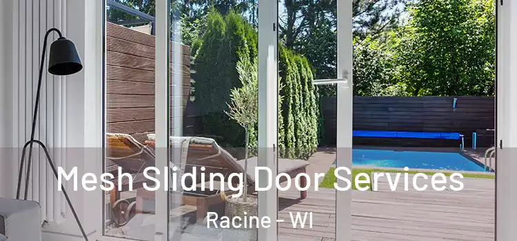  Mesh Sliding Door Services Racine - WI