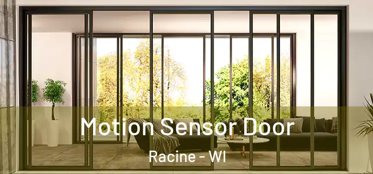  Motion Sensor Door Racine - WI